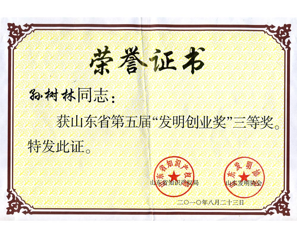 孫樹(shù)林山東省發(fā)明創(chuàng)業(yè)獎(jiǎng)證書(shū).jpg